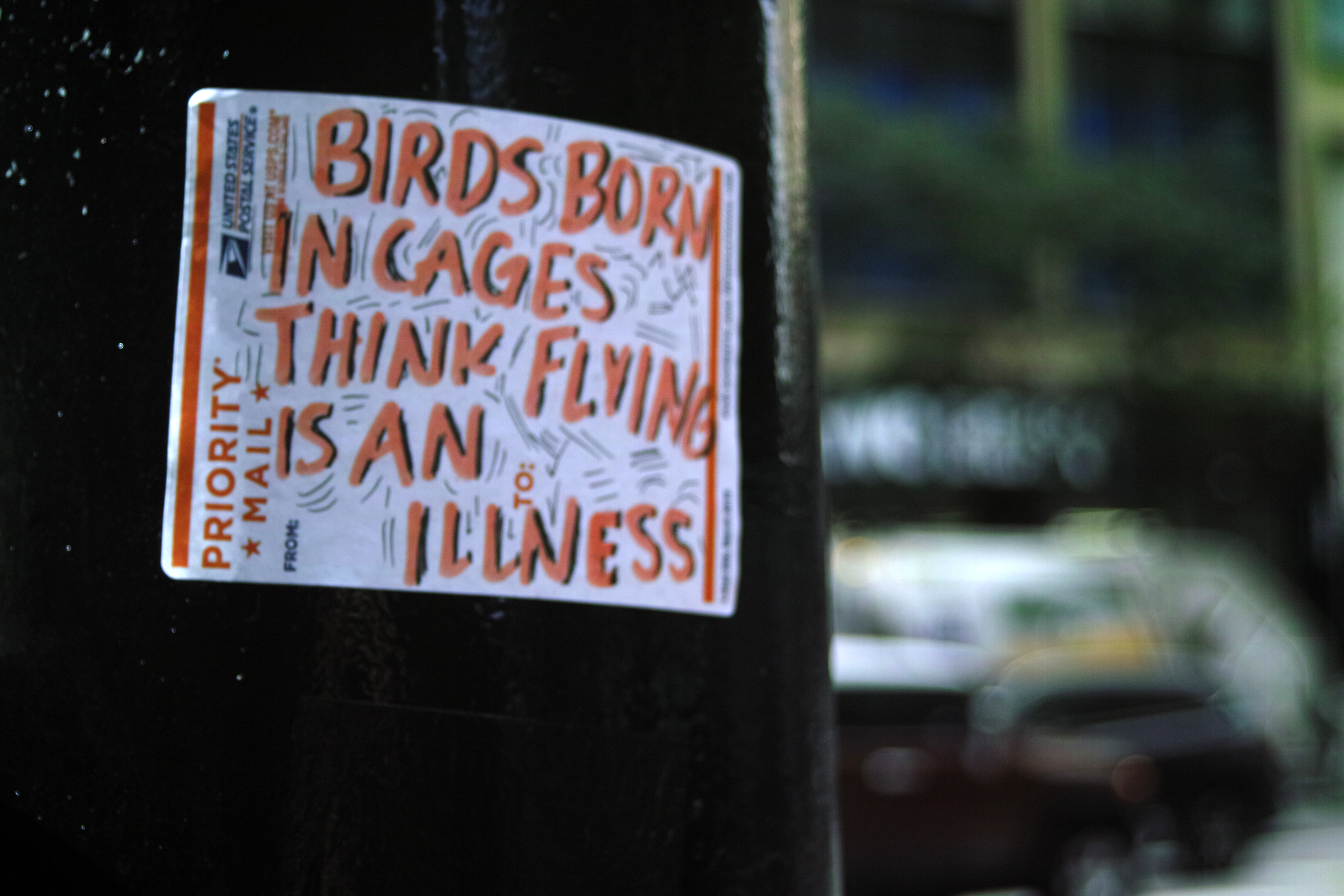 Birds Born in Cages